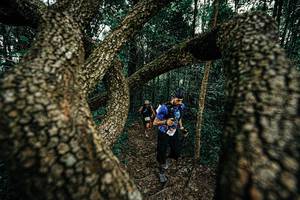 BIB: 
                            <button type="button" onclick="openModal(25393047)" class="btn btn-primary btn-sm float-right btn-popup" data-toggle="modal" data-target=".modal-high-quality">
                        <i class="fas fa-shopping-cart"></i> Add to Cart
                    </button>
                                            <button type="button" onclick="isThisMe(25393047, true)" class="btn btn-success btn-sm float-right btn-popup btn-isme hidden" data-toggle="tooltip" data-placement="bottom" title="นี่คือรูปของคุณใช่ไหม คลิกที่นี่เพื่อเอาเข้าอัลบั้ม">
                        <i class="fas fa-plus"></i> Add to album
                    </button>
                    <button type="button" onclick="isThisMe(25393047, false)" class="btn btn-warning btn-sm float-right btn-popup btn-isnotme hidden">
                        <i class="fas fa-ban"></i> Remove from album
                    </button>